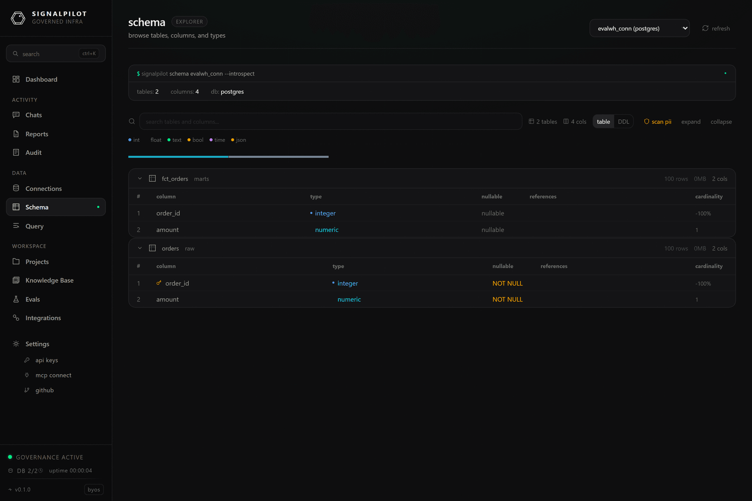The schema explorer